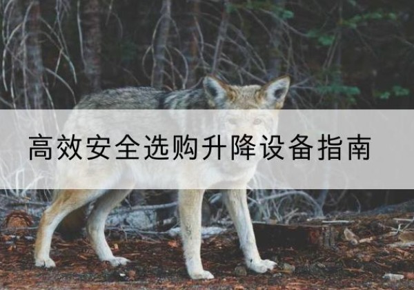 梁平区升降货梯厂家推荐-*安全选购升降设备指南