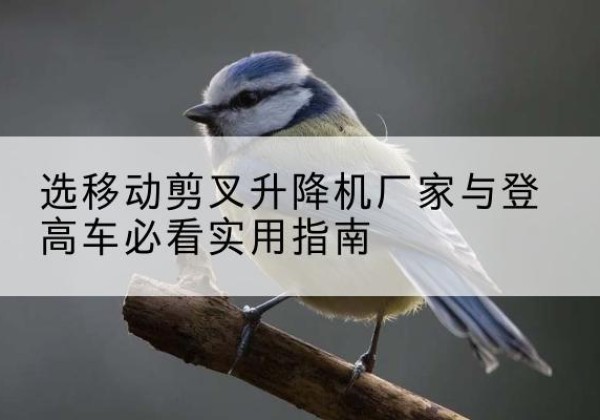 梁平区电动升降机厂家-选移动剪叉升降机厂家与登高车必看实用指南