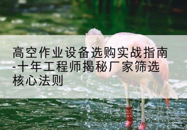 梁平区剪叉式升降机厂家-高空作业设备选购实战指南-十年工程师揭秘厂家筛选核心法则
